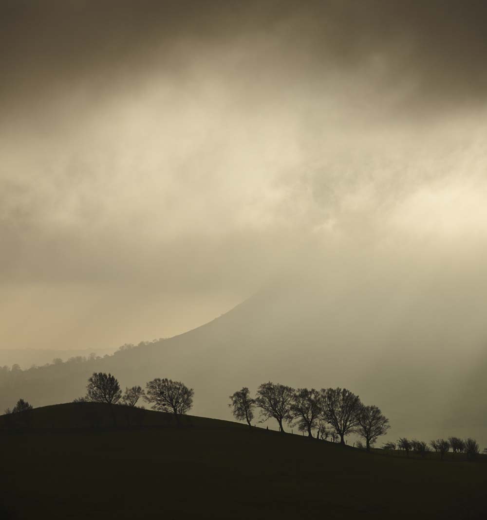 Stacks Image 878